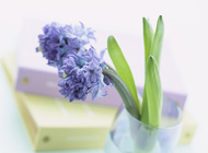 出張アロマテラピー教室